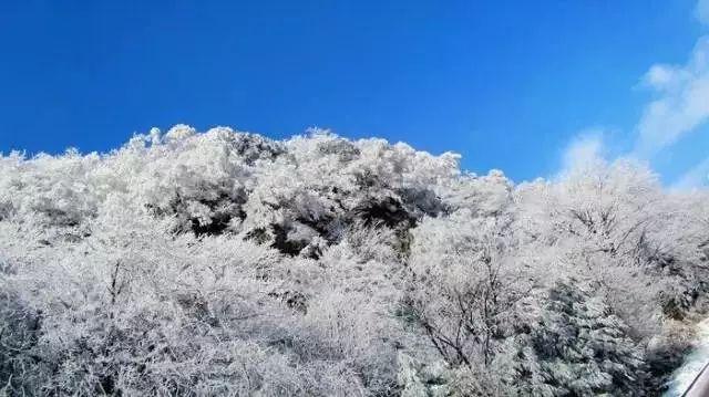 符石守护者