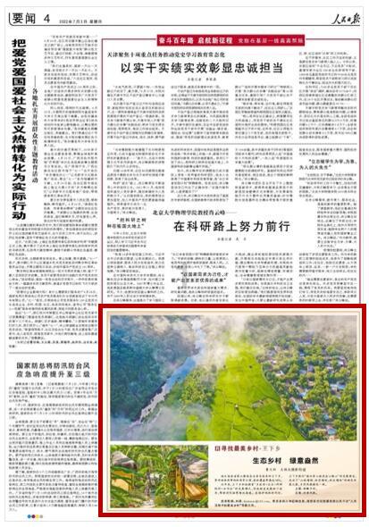 洱源酸辣鱼