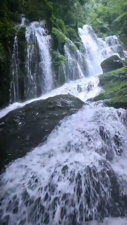 逃离死亡岛