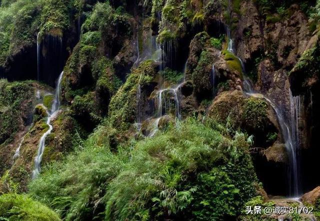 小猫钓鱼游戏龙王版有船