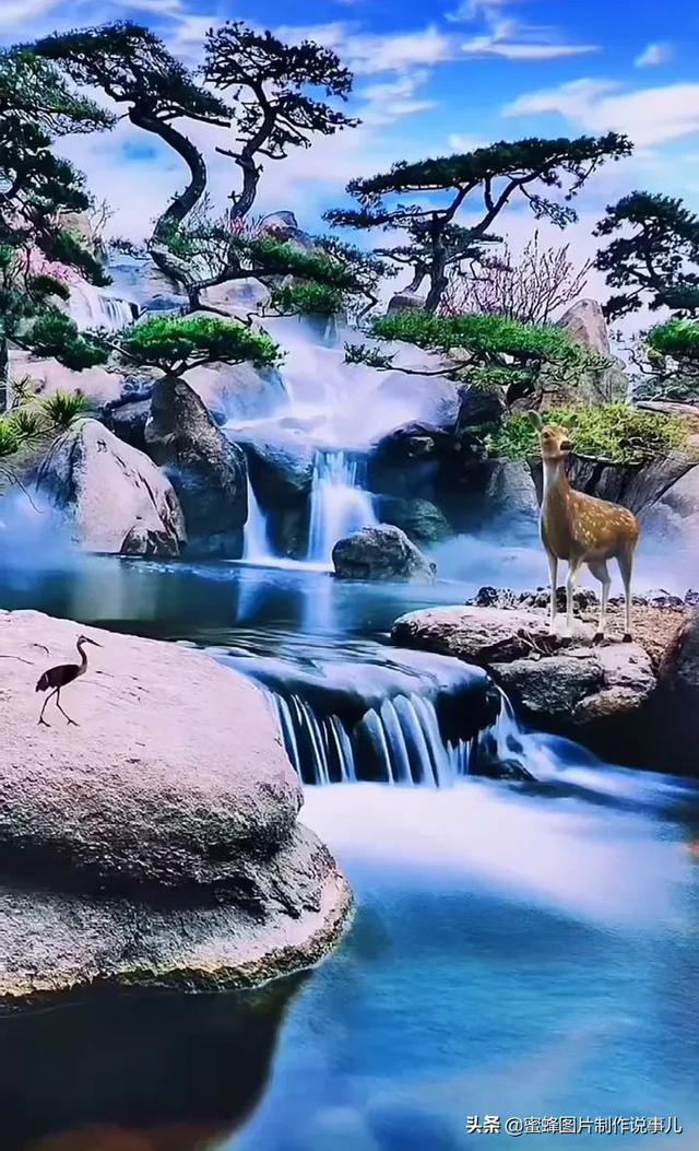 理财专员