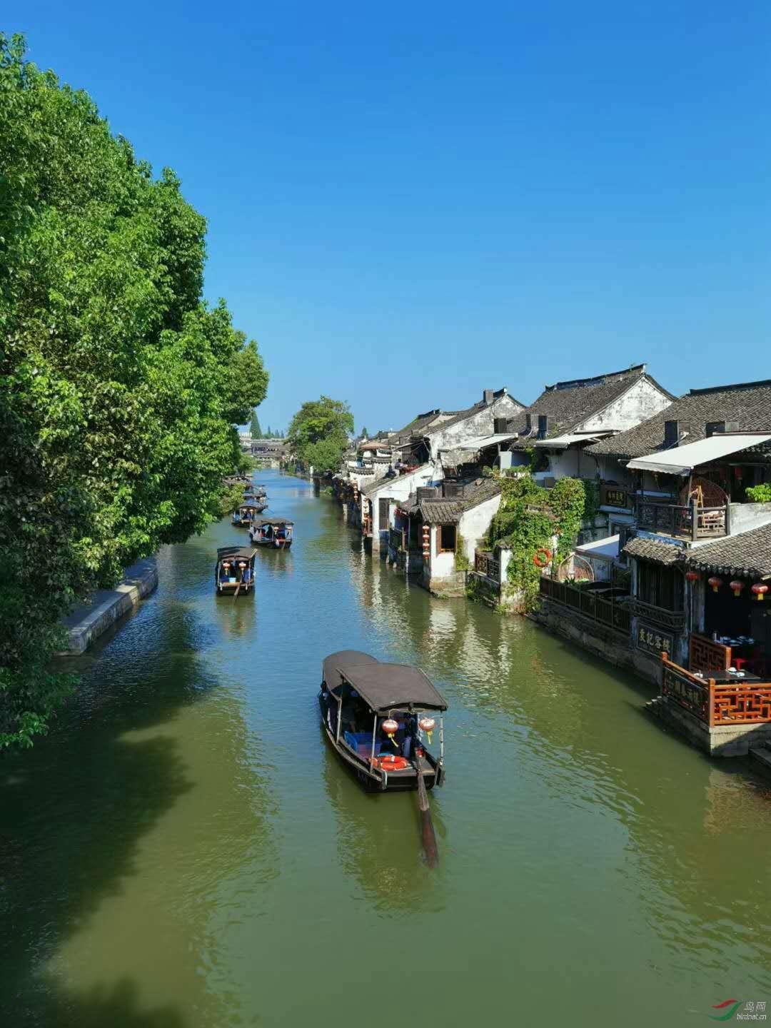 区残联机关党支部召开2023年度主题教育专题组织生活会暨民主评议党员